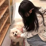 动物大作战手机版游戏下载